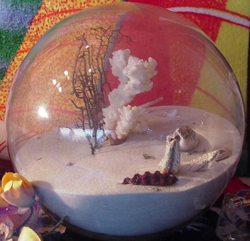 It's a glass bowl of dirt-- yay!