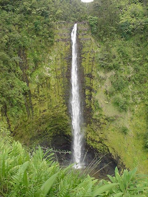 God's Urinal.