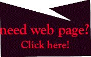 Propheshunal Customized Internet Solutions . . .