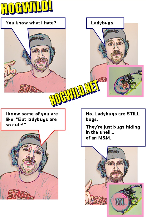 ladybugs cartoon